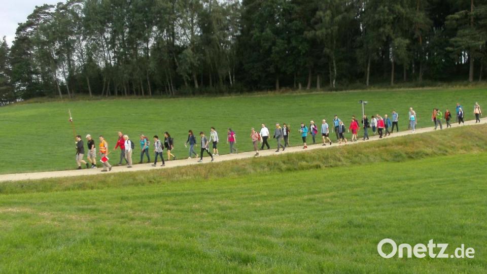 45. Fußwallfahrt von Tirschenreuth zum Fahrenberg. Bild: Karl Scheidler/exb