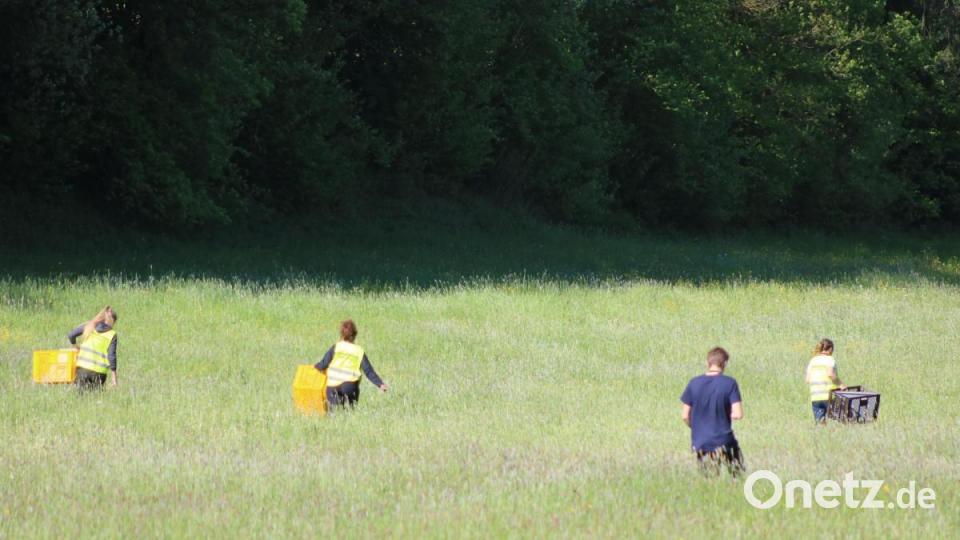 Ausgerüstet mit Funkgeräten und Körben gingen die Helfer in die Wiesen. Bild: lei