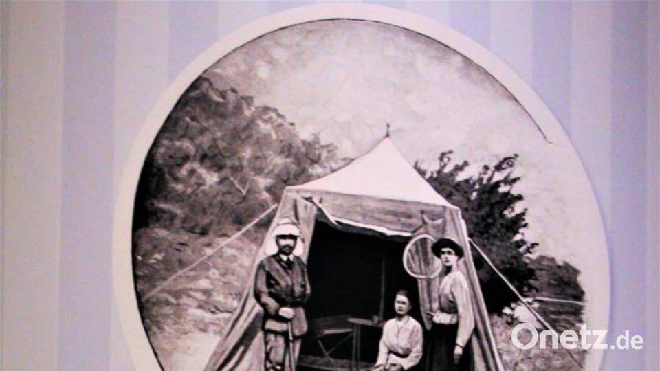 Dieses Gürteltier brachte Forscherin Prinzessin Therese von Bayern (vor dem Zelt sitzend) aus Bolivien mit Bild: stg