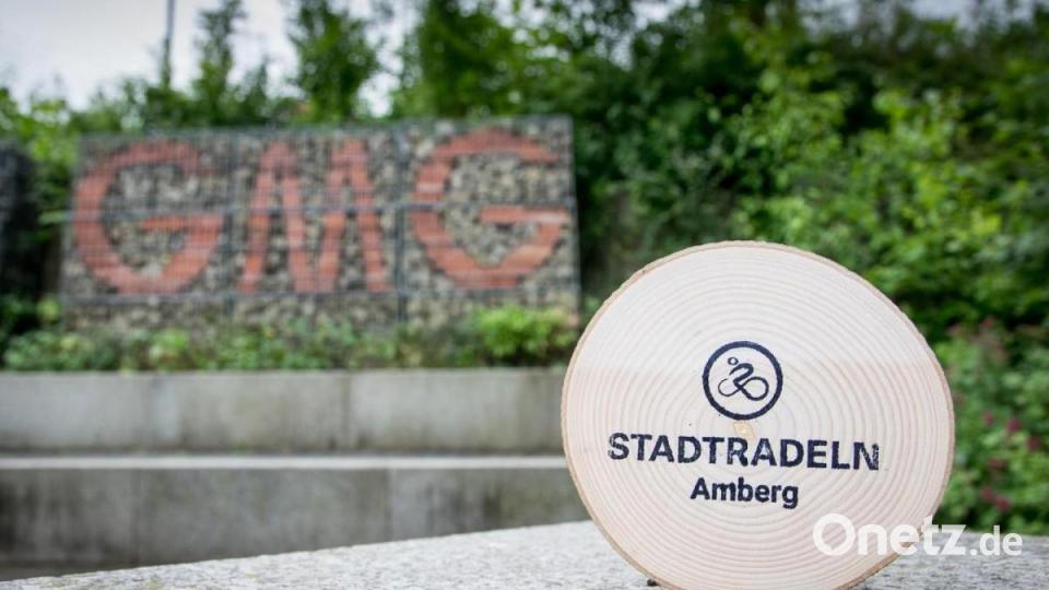 Solche Holzscheiben gab es für die Schüler. Bild: StR Matthias Prohaska/exb