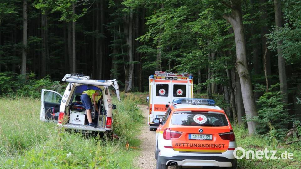 Die Bergwacht hat einen abgestürzten Kletterer im Steinbergmassiv bei Pruihausen gerettet. Bild: lei