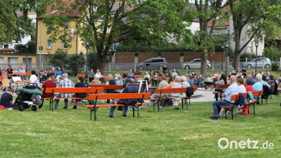 Sommerserenade im Stadtpark mit dem Zitherclub. Bild: njn