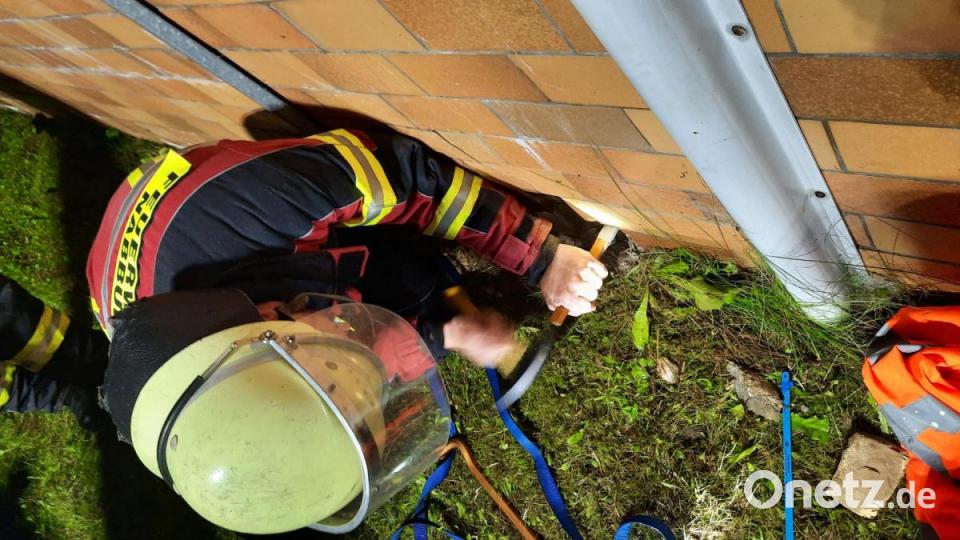 Mit Hammer und Meißel versuchten die Feuerwehrmänner, den Igel vorsichtig zu befreien. Bild: Daniel Irlbacher/exb