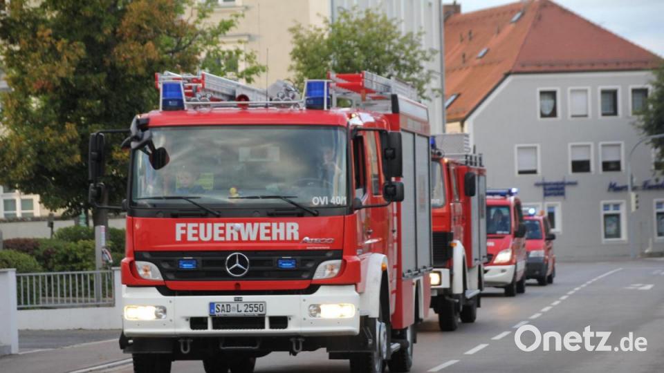Die Fahrzeuge der Oberviechtacher Wehr. Bild: frd