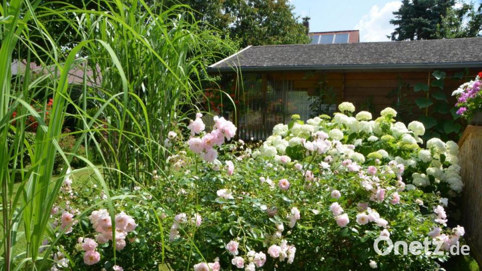Roswitha und Willi Wild haben sich mit ihren eigenen Händen und Mühen ein traumhaftes Gartenparadies geschaffen. Bild: dob