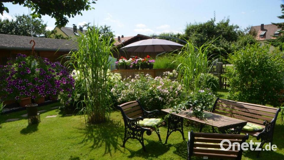 Hier vergisst man Zeit und Raum. Herrliche, friedliche Welt. Bild: dob