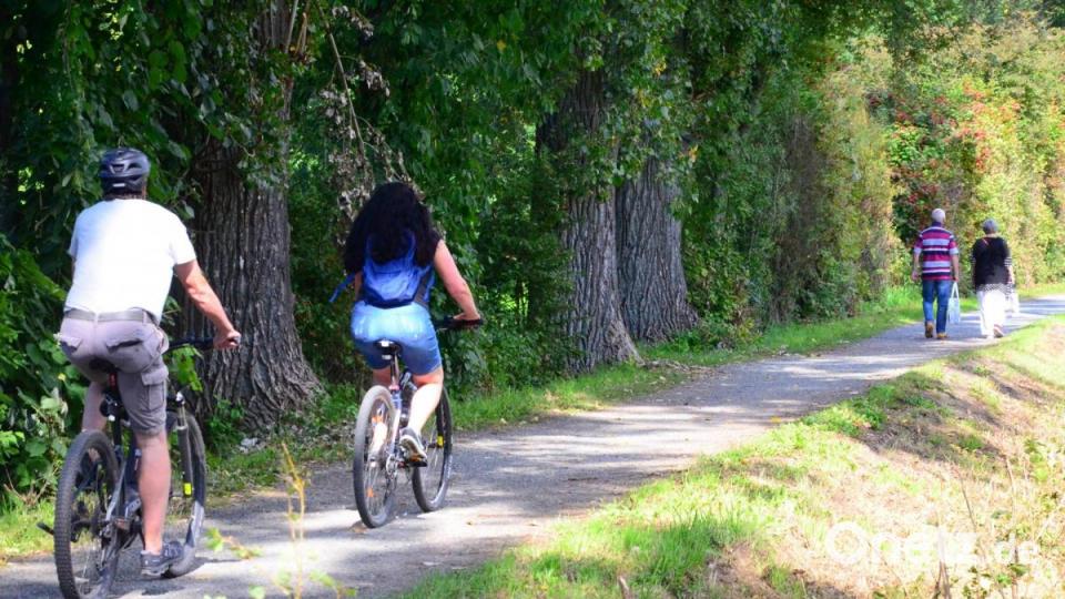 Radfahrer und Spaziergänger. Bild: Kunz