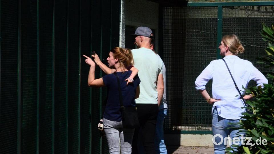 Kommt ein Vogerl geflogen. Bild: Kunz