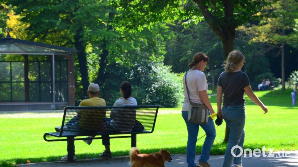 Spaziergang im Max-Reger-Park. Bild: Kunz