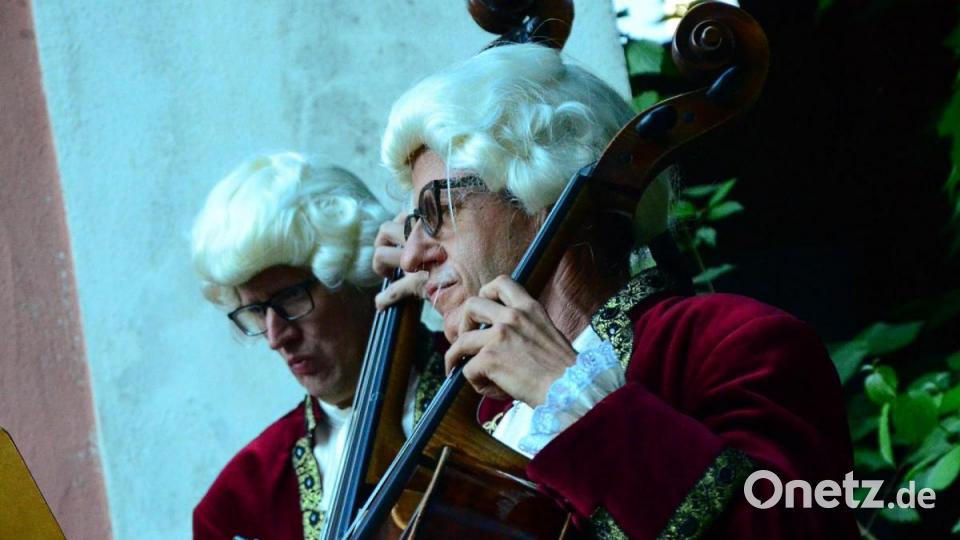 Die Chursächsischen Streichersolisten glänzen bei den Wurzer Sommerkonzerten. Bild: Kunz