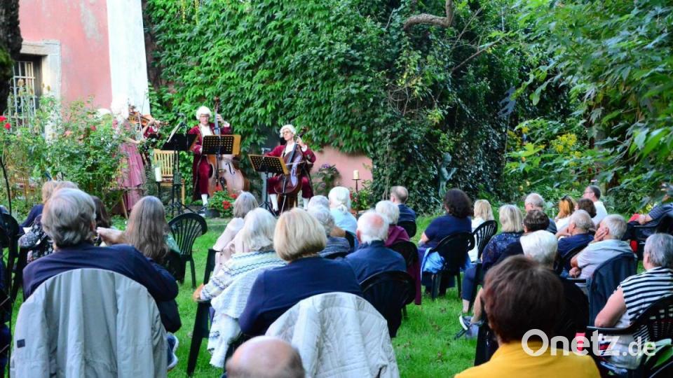 Die Chursächsischen Streichersolisten glänzen bei den Wurzer Sommerkonzerten. Bild: Kunz