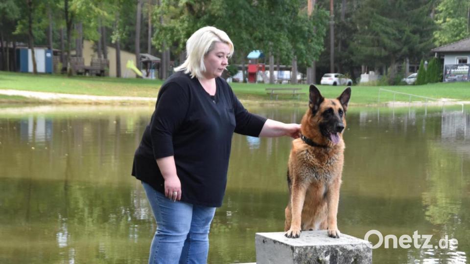 &quot;Captain&quot; ein neunjähriger Schäferhund war nicht nur auf dem Startblock die &quot;Nummer 1&quot;. Frauchen Sabine Kothmann (Bechtsrieth) hatte die brave, reinrassige &quot;Wasserratte&quot;vor sechs Jahren aus dem Tierheim geholt. Bild: hcz