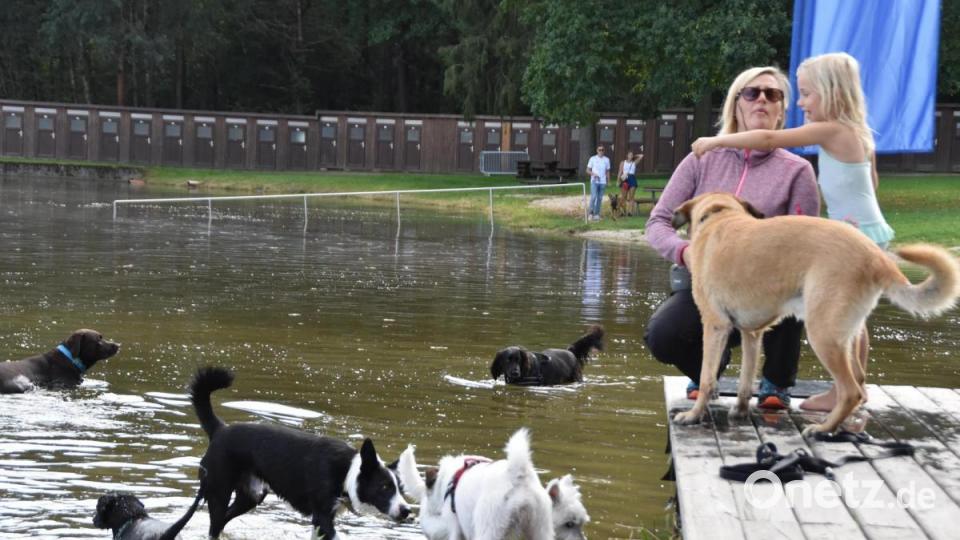Die kleine Lise und ihre Mutter waren mit &quot;Pauli&quot;, &quot;Lotte&quot; und &quot;Ola&quot; gekommen. Zahlreiche andere Hunde schlossen sich schnell an. Bild: hcz