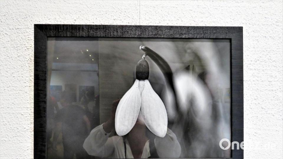Schneeglöckchen von Horst Setzer. Bild: ubb