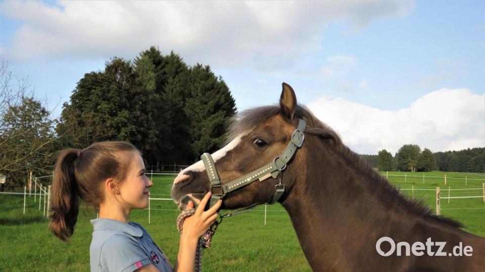 Nele und ihre &quot;Pina Colada&quot; sind ein Herz und eine Seele. Sie lieben beide die Herausforderung und beide haben daheim beim gemeinsamen Spielen und Reiten ebenso viel Spaß zusammen wie auf den Turnieren. Bild: ubb