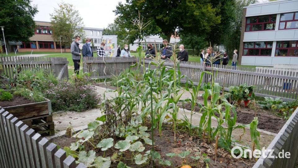Der Gemüseacker der Mittelschule Waldsassen beim Erntefest mit den dazu eingeladenen Gästen. Bild: hmr