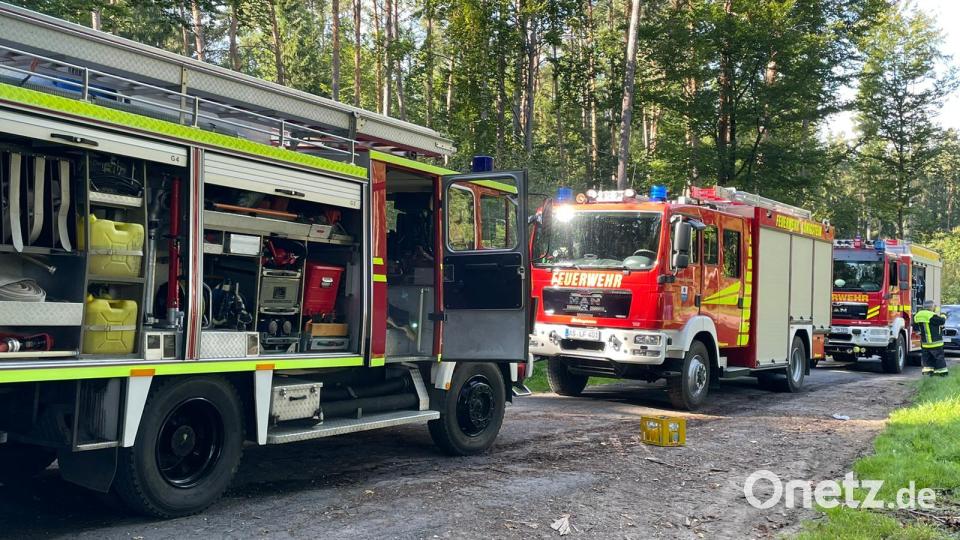 Zuerst treffen die Feuerwehren aus Königstein und Neuhaus in dem Waldstück ein. Bild: lei