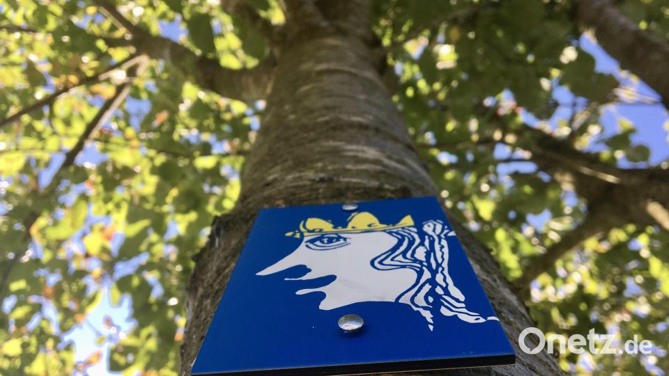 Weißer Märchenkönig auf blauem Grund, so sieht die Wegmarkierung für den Märchenpfad aus. Die Nasenspitze gibt die Richtung vor. Bild: gri