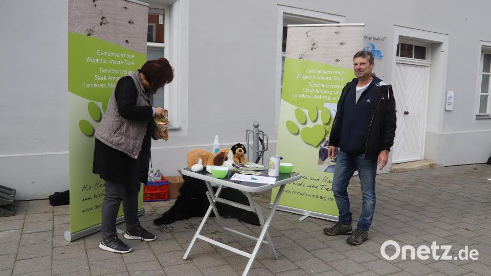 Das Tierheim Amberg hat viele Antworten auf Fragen zu Haustieren gegeben und unterstützt auch bei der Entscheidung, ein Tier in die Familie aufzunehmen. Bild: mfh