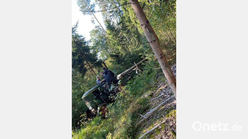Alexander Gössl transportierte den Baum aus dem Wald Bild: lei