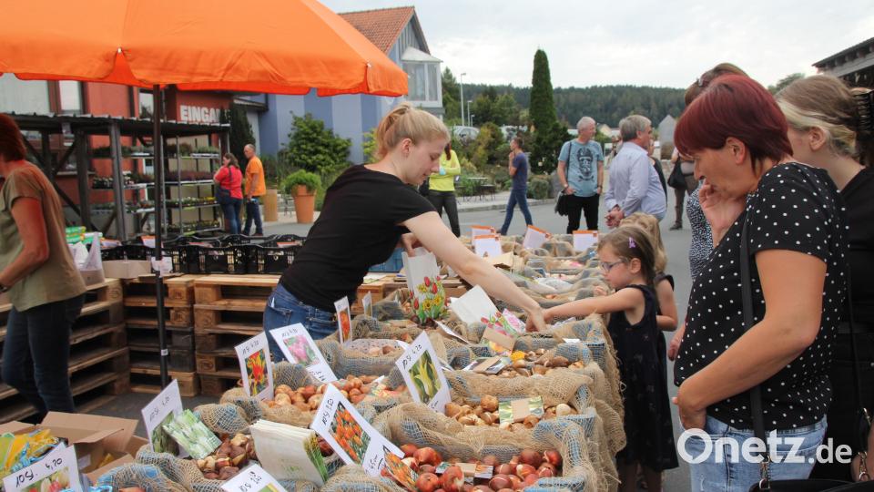 Damit im Frühjahr der Garten zum Blütenmeer wird: Züchterin Gabi Gilch bot ihre Blumenzwiebeln an. Bild: frd
