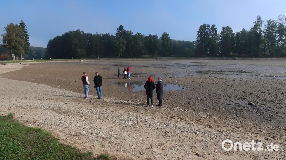 Abfischen im Schätzlerbad. Bild: Kunz