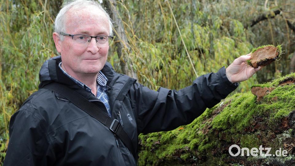 Bernhard Frank, der Leiter des Sachgebiets Grün im städtischen Baureferat. Bild: Wolfgang Steinbacher