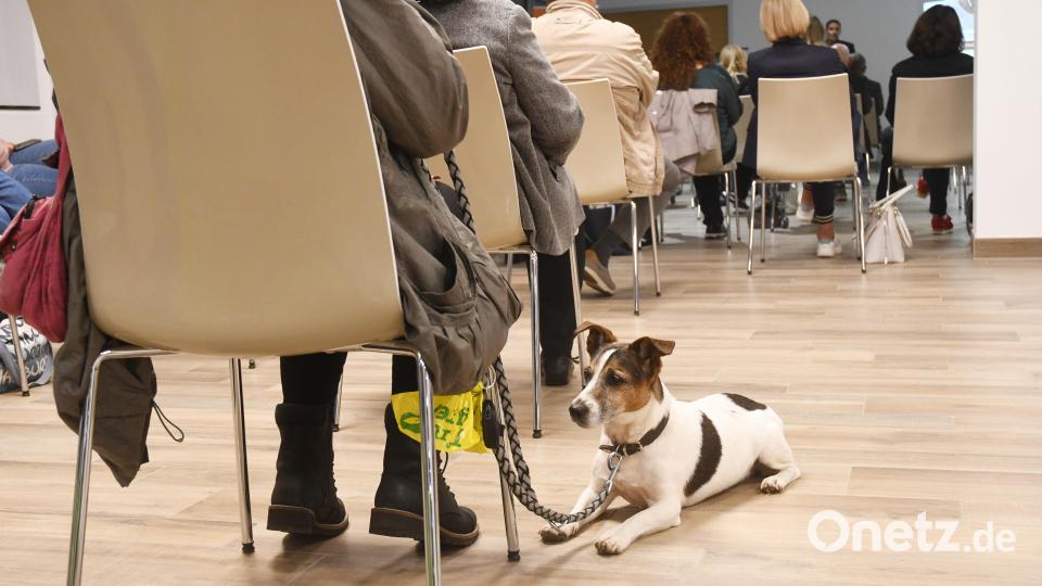 Auftaktveranstaltung des Vereins &quot;Mentor - Die Leselernhelfer Weiden-Neustadt&quot;. Bild: Gabi Schönberger