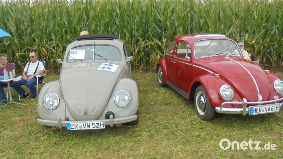 Liebhaber der Wirtschaftswunderzeit hatten ihre Freude bei VW Käfer, „Bulli“ und Co. Bild: rfi