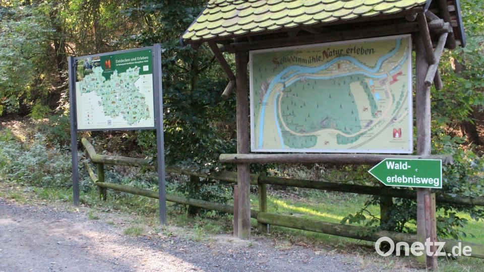Walderlebnisweg mit vielen Schautafeln. Bild: Lowak