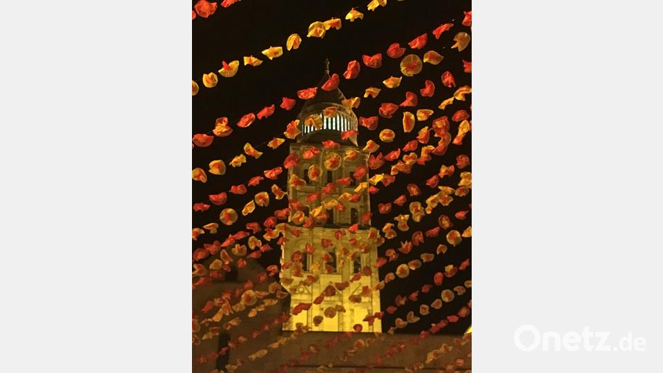 Im Blumenmeer: Der Turm der Kathedrale St. Front. Bild: san