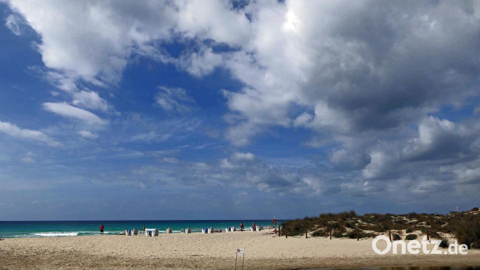 Als Ausgangspunkt für die Erkundungen mit der Ehefrau auf Menorca diente Johann Gmeiner die Ferienanlage Son Bou im Süden der Insel, unweit des längsten Sandstrandes und einem 80 Hektar großen Feuchtgebiet namens Prat de Son Bou. Bild: exb/Johann Gmeiner