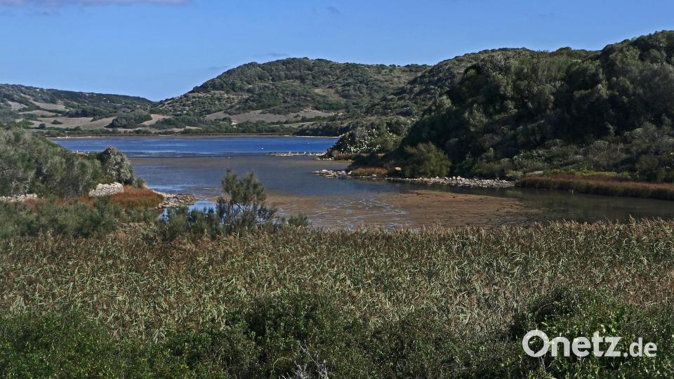Wunderbare Aufnahmen brachte Johann Gmeiner von einer Wanderung durch den Naturpark S`Albufera des Grau mit, dem Kernstück des Biosphärenreservates von Menorca. Dort sind ganzjährig viele Vogelarten anzutreffen. Zugvögel verbringen hier die Wintermonate. Bild: exb/Johann Gmeiner