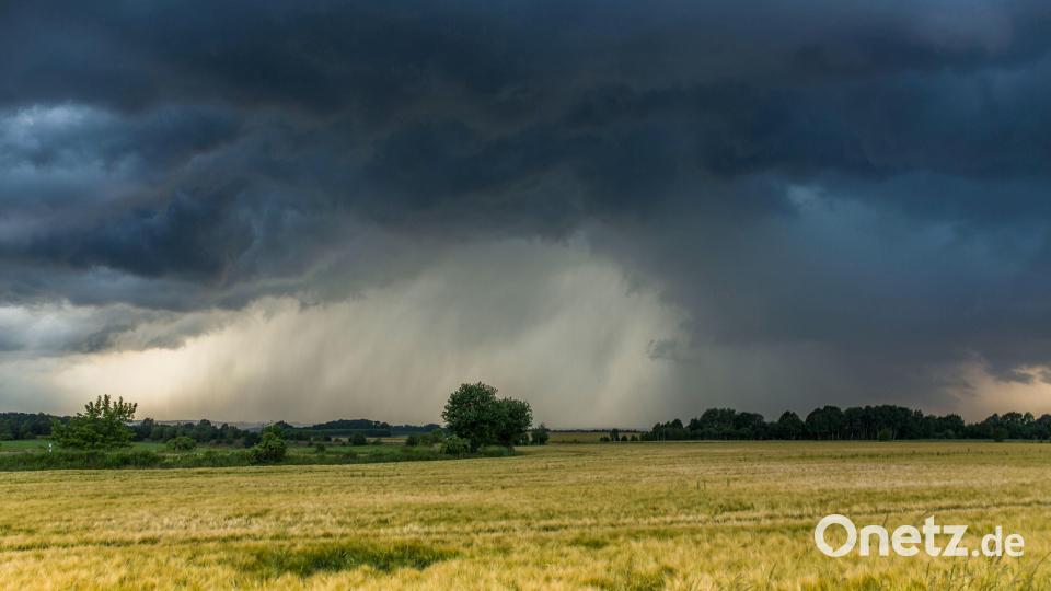 Am Donnerstag werden in der gesamten Oberpfalz schwere Stürme erwartet. Bild: Bernd März/dpa