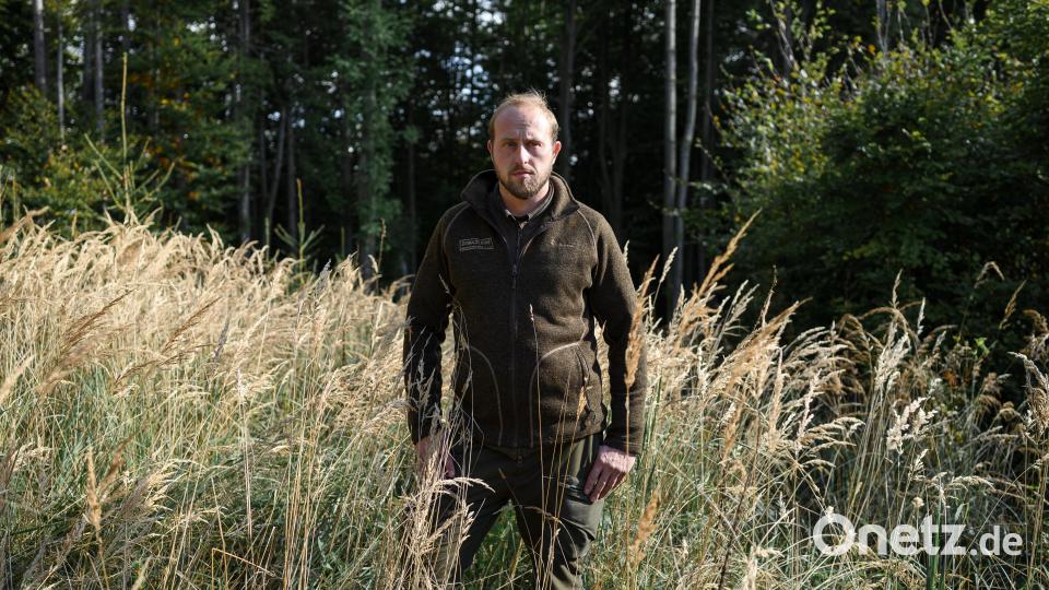 Förster Martin Semecký steht am an der Stelle im Wald, an dem er die bis dahin vermisste Julia gefunden hat. Bild: Daniel Vogl/dpa