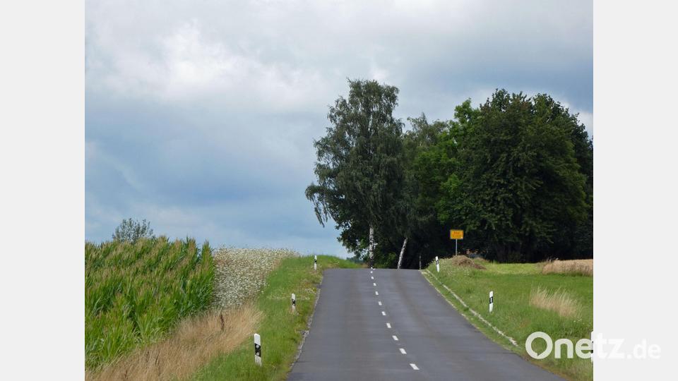 Kreisstraße TIR 28 (zwischen Altensteinreuth und Zinst), beim Ortseingang Zinst: Anfang August erfolgte die erforderliche Mahd wieder nur einseitig, um trotzdem für Insekten Nahrung und Verstecke zu erhalten; die Mahd der verbliebenen Fläche erfolgt zeitversetzt später. Bild: Manuela Pappenberger/Landratsamt Tirschenreuth/exb