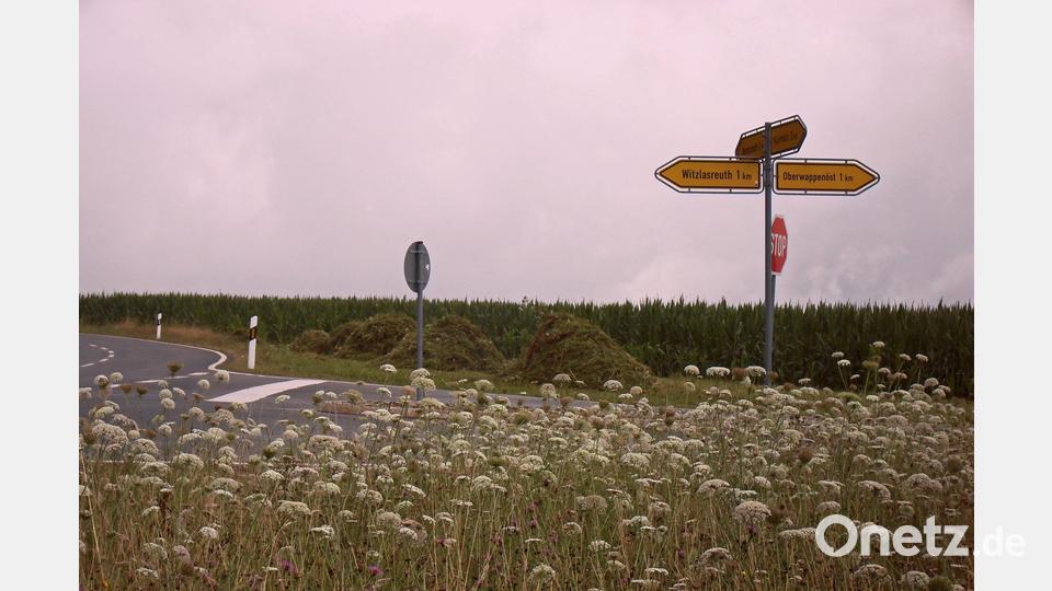 Kreisstraße TIR 21, Kreuzung Oberwappenöst: Nur auf der einen Seite gemähte Blühfläche mit aufgehäuften Mahdgut, um einen Teil der Nahrungsquelle und Aufenthaltsbereich für Insekten in der Zwischenzeit auf der anderen Straßenseite zu erhalten. Bild: Klaus Richtmann/Landratsamt Tirschenreuth/exb
