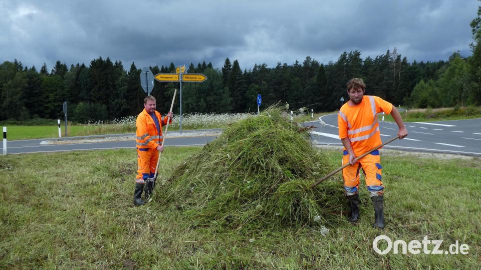 Michael Fischer und Martin Lorenz von der Tiefbauabteilung des Landkreises (von links) beim Zusammenrechen der nur auf einer Seite abgemähten Blühfläche an der Kreisstraße TIR 21 bei der Kreuzung Oberwappenöst. Bild: Manuela Pappenberger/Landratsamt Tirschenreuth/exb