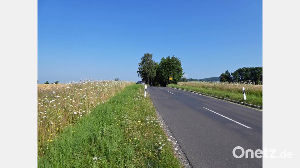 Kreisstraße TIR 28 zwischen Altensteinreuth und Zinst, beim Ortseingang Zinst: beidseitig begleiten Blühstreifen die Kreisstraße, Ende Juli vor der Mahd. Bild: Manuela Pappenberger/Landratsamt Tirschenreuth/exb