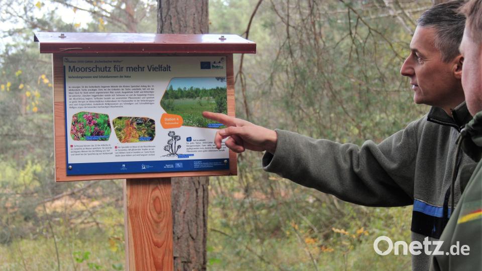 Wer nicht das Glück hat, der Expertise von Forstamtsrat Martin Gottsche lauschen zu können, kann dafür den neuen Infostationen sehr viel Wissen entnehmen. Bild: stg