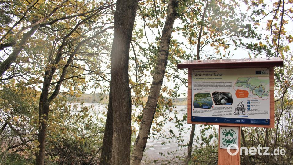 Der Natura-2000-Rundweg ist etwa 4,5 Kilometer lang und führt um den Großen Rußweiher in Eschenbach. Neue Tafeln informieren über die Natur dort. Bild: stg