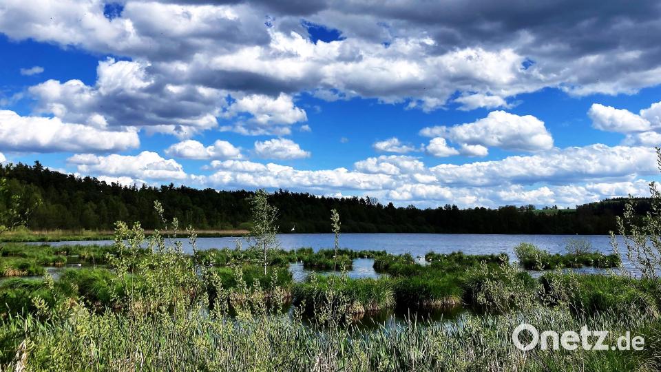 Auch im Sommer ist der Große Rußweiher einen Ausflug wert. Archivbild: stg