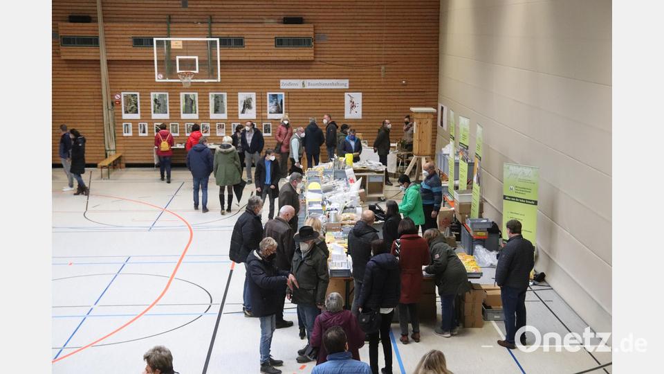 Gut besucht: die Ausstellung rund um das Thema Bienen und Honig. Bild: mfh
