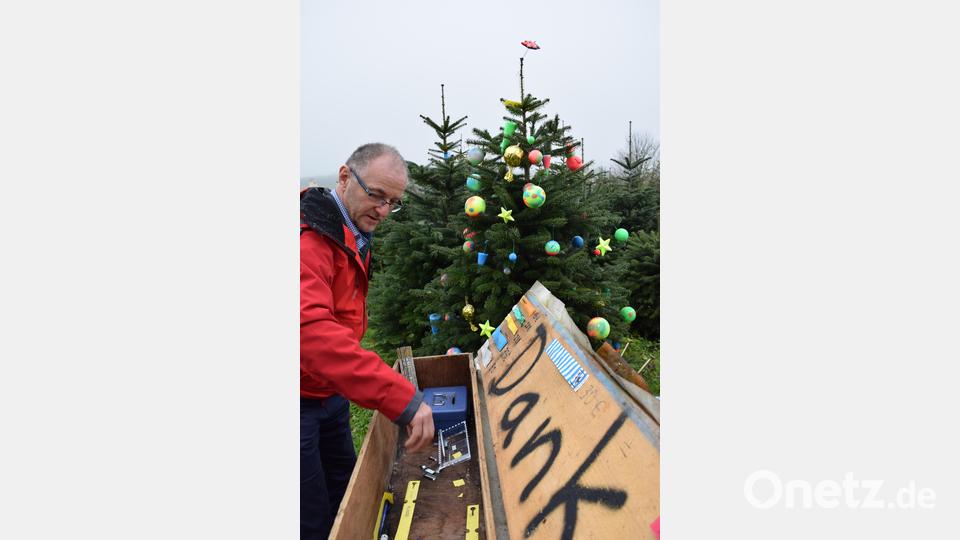 Der 56-Jährige bietet auch Bäume an, die die Kunden selbst absägen dürfen. Die Plößberger Grundschüler schmückten bereits &quot;ihren&quot; Baum. Er wird in der Grundschule aufgestellt. Bild: szl