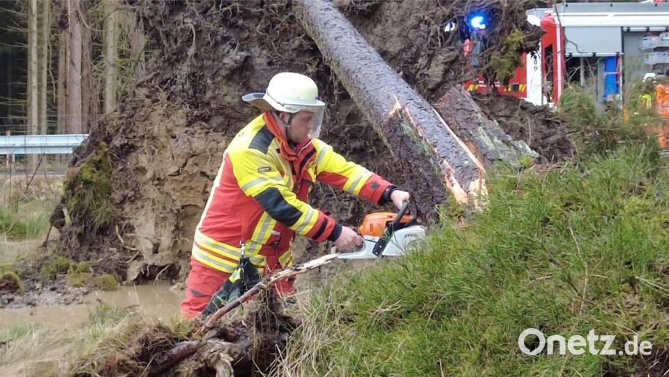 Viele Motorsägen waren am Freitag im Einsatz. Bild: Gustl Beer