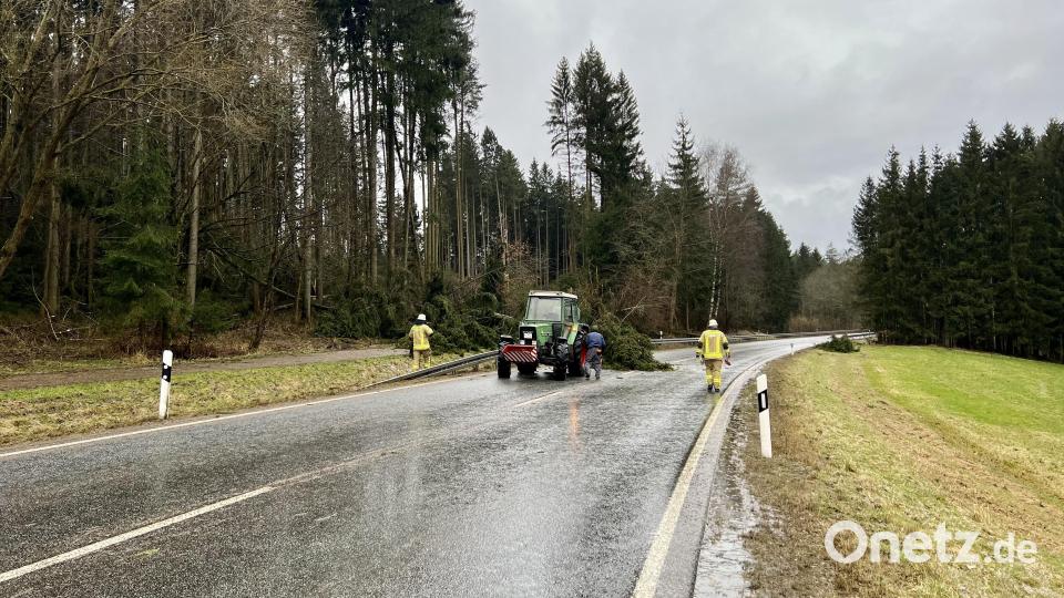 Mit einem Traktor wurde ein Baum auf der Straße bei Krummennaab von der Feuerwehr beseitigt. Bild: nza