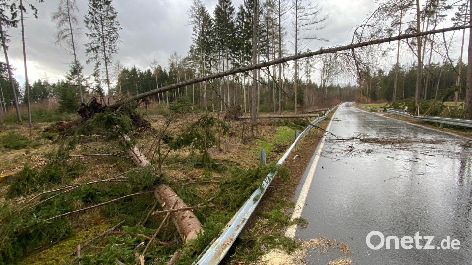 Auf der Straße von Parkstein nach Schwand fielen mehrere Bäume um. Bild: Gustl Beer