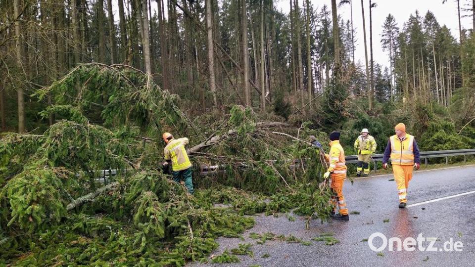 Die Feuerwehr Krummennaab beseitigte umgestürzte Bäume auf der Straße beim Waldfriedhof. Bild: nza