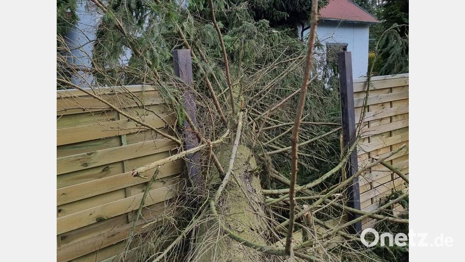 In Schloppach bei Waldsassen stürzte am Freitag ein Baum auf einen Gartenzaun. Die Anwohner wurden nicht verletzt. Bild: Pascal Laab/exb