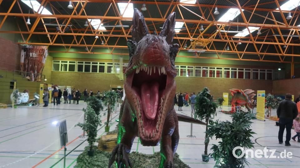 Dinosaurierausstellung in der Mehrzweckhalle. Bild: Kunz
